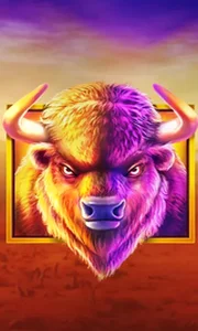 Buffalo King